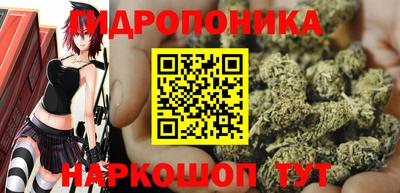 мдпв Мариинск