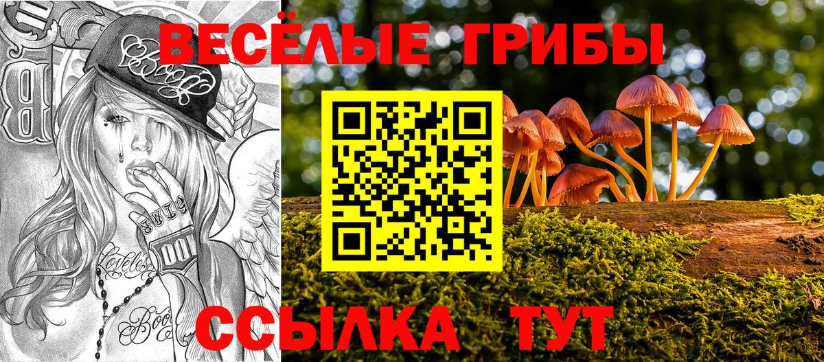 Спасск-Дальний  Псилоцибиновые грибы Psilocybe  Вход с VPN 